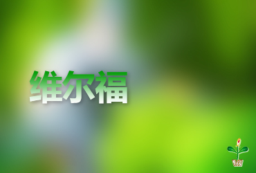 关于举办2018年中央财政林业科技推广示范资金“四倍体泡桐无性系繁育与推广示范”项目技术培训班的通知